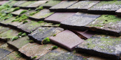 Billington roof repair costs